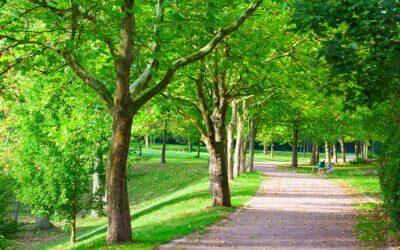 Senator Iovino Announces $327K in Grant Funds for Park Trails in 37th District